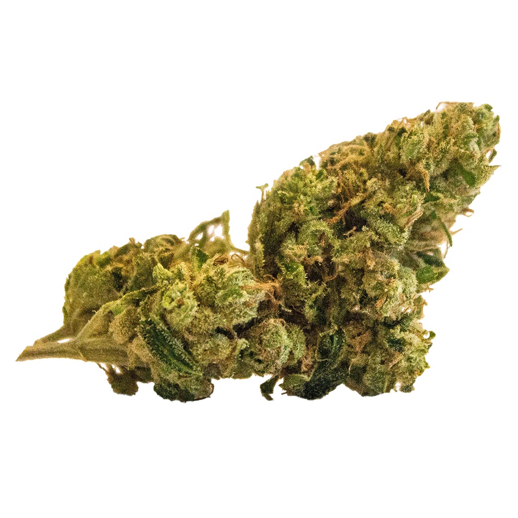 Super Lemon Haze